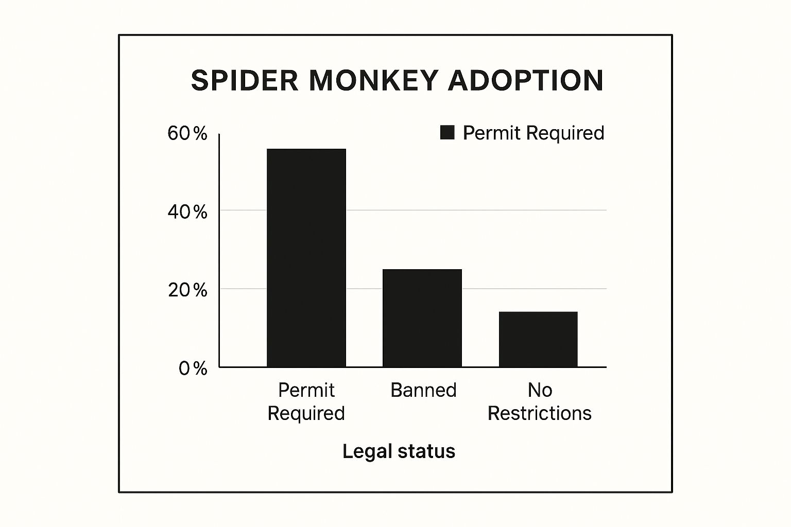 Infographic about adopting a spider monkey