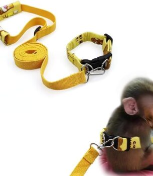 Primate® Band-O-Leash – Band and Leash for Monkey Pets